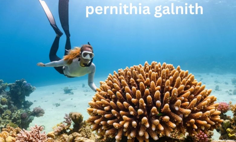 pernithia galnith