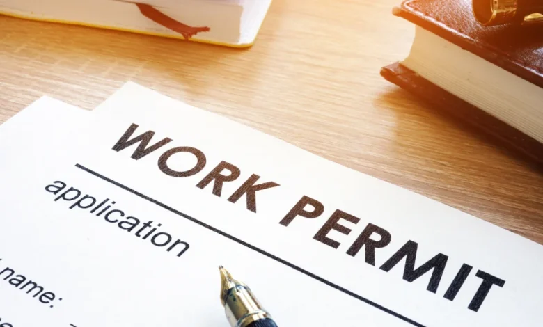 Understanding the Italy Work Permit: A Guide for Foreign Workers